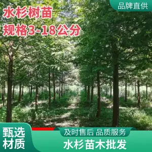 ��Ӧ10-18����ˮɼ�� ��Ķ԰��ˮɼ��ľ �����̻���ֲ��