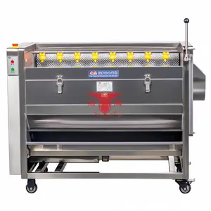 银鹰牌CX100I/150洗菜机
