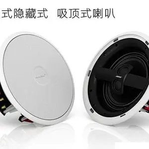 BOSE 791 II 吸顶式扬声器