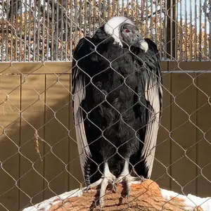 ¡���������� ��������� ���Խ��������� ����԰Χ��