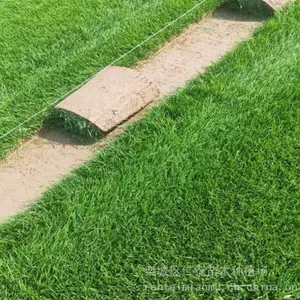 ���򳡲�ƺ ����ݲ�ƺ ��Ƥ�� ��ͷ���տ�����