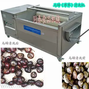 马蹄清洗机，小型洗荸荠毛刷机