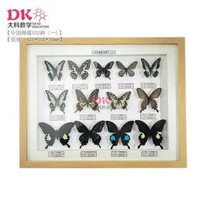 �й������걾100�� ���40*50cm 6��װ���ظ���Ʒ����� �����ģ�