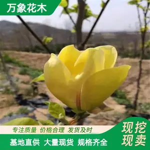 ���س��� �������� �ֵ��е��� ����ͥԺ�̻���ľ �̻�������