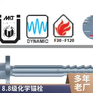 特殊倒锥形化学锚栓8.8级热镀锌植筋胶ETA认证德国进口桥梁隧道用