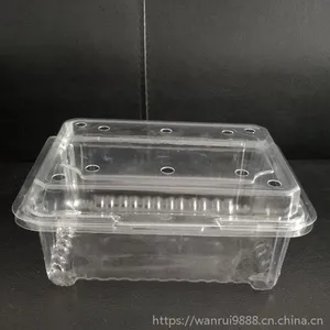 pet一次性透明水果保鲜盒，500—1500ml蔬菜包装盒