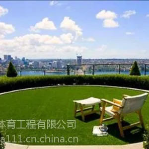 河北邯郸人造草坪厂家直销屋顶装饰草坪河北博纳