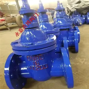 ũ������������ Z41T-10 DN65 �ֶ�ͭоHT200����բ�� Z41W-10 ����ֱ��