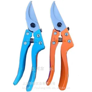 ̨��������V-8T��֦�� ������ ԰�ռ� �����ּ����ͼ�֦����