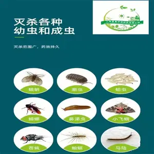 闵行灭老鼠、闵行办公楼灭鼠、闵行餐饮灭老鼠、闵行家庭灭老鼠、闵行区超市灭鼠