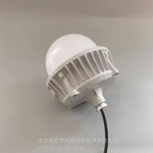 防爆壁式LED灯 尚为220V70W壁式安装15°，活接头及带安装附件