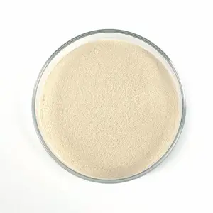 鼠李糖乳杆菌NSL0401 益生菌原料 1000亿CFU/g活菌 食品级冻干粉