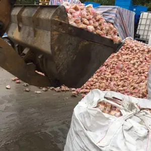 葡萄干销毁过期薯片销毁临期的奶粉销毁优质销毁单位