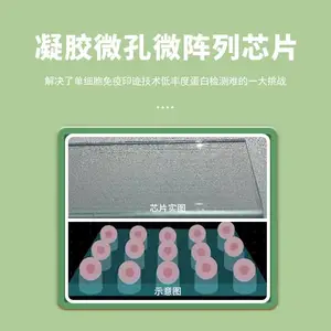 ��ϸ�����׷����� Western Blot ΢�������ʶ�������