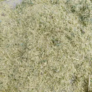 ľ�ķ���� ����ģ������� ��Ƭ�� ����ĥ��������ľͷ��Ƭ������