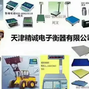 天津精诚电子衡器有限公司