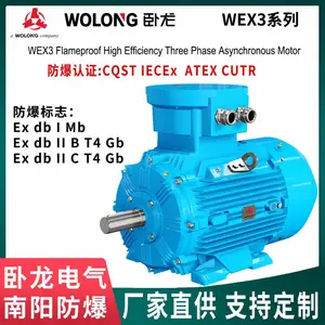 WEX3异步电机防爆认证CQST IECEx ATEX CUTR 品质可靠可做复合防爆