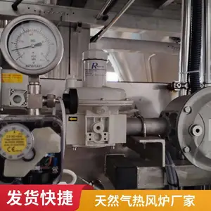 岱鼎 燃气燃油 烘干化肥食品高温直燃式热风炉 节能燃烧供暖炉 可定制