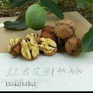 �ɺ�3�ź�����Ʒ�ּ�� ���ط���
