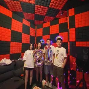 阳江隔音棉墙体卧室家用消音***室内自粘吸音棉ktv隔音板墙贴材料