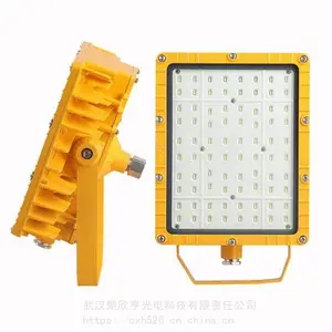 天车作业投光灯ZY-2079-400W 户外LED投光灯 IP66 200W AC220v