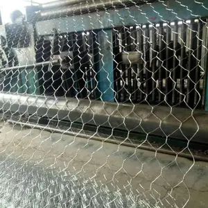 ʯ���� �½�ʯ���� ����ʴʯ������ ���ӵ̰ӷ�����̬����� �ӵ����̷���ʯ����
