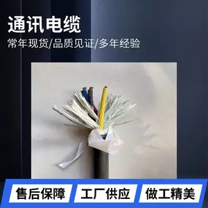 ZR-DJYP2VP2-22-2*2*1.0 耐高温控制屏蔽信号计算机电缆