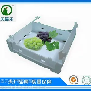 供应葡萄包装箱、水果包装箱