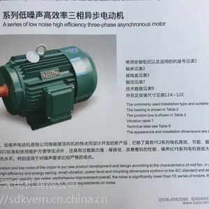 山东开元电机公司张凯变频电机YVF2-132S-6-3