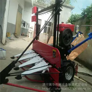 ���ָ��֥�鰬��ͨ���ʹ�������Ҷ���ո��
