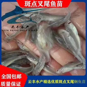 ����ˮ��***��β�t���� �γǹ�Ӧ����***��β���� ��β���������