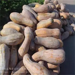 �����Ϲ���ֲ���� �Ϲ����Ӽ۸� �ֻ���Ӧ �����ҵ