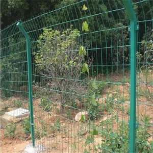 ����Χǽ������ ����ɫ��ֳΧ���� ��ֲ���ؽ��ܷ�����