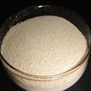 200��/�˿ݲ�ѿ�߸˾�������Ϲ��ܾ�����ֱ��