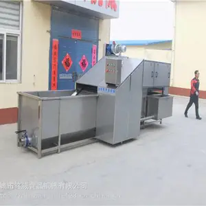 大姜清洗机 新款洗姜机厂家