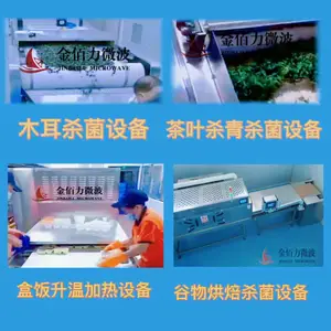连续式菌菇木耳微波杀菌设备厂家地址