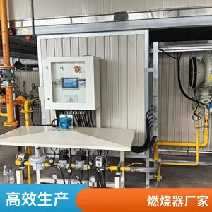 球团加热炉烧嘴 高炉煤气燃烧器氢气燃烧机源头厂家岱鼎燃烧