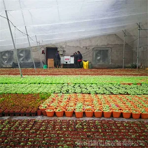 ���������߲˴�����Ȳ�ůϵͳ�豸 �Զ���ͣȼ���ȷ�¯��������