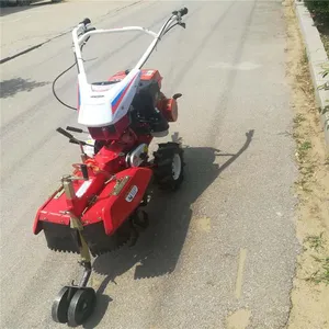����������������� �������ũ���ڹ��� 186������԰������