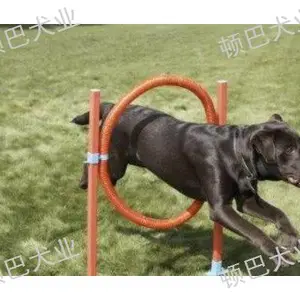 昆明训狗价格多少 值得信赖 昆明顿巴训犬训犬师培训供应