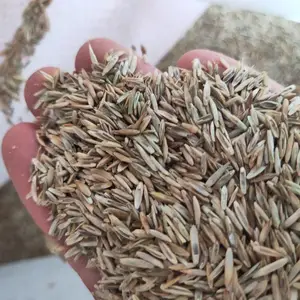������ƺ����é���ӻ����̻����ֲ���