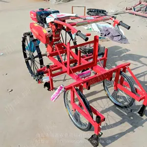 ũ����ֲ��Ĥ�� ��������ʽ��Ĥ�� ��ҩ��Ĥһ���