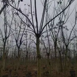 �� �� ����10-20�����������أ��������㣬���κ�
