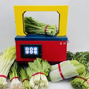 蔬菜自动捆扎机打包机 2秒自动感应式捆扎 胶带无胶***