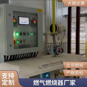 水套炉燃烧机 氢气天然气燃烧器燃烧器源头厂家 岱鼎燃烧