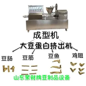 四川成都哪有卖全自动大型豆皮人造肉机械 多少钱一台