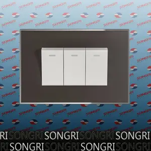 CE出口欧洲市场开关插座SONGRI东欧墙壁开关插座一开二开三开单双控按钮开关