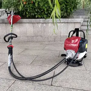 ��***�ݻ� С��§�ݻ� �βݻ�����
