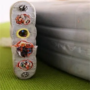 �׳�����-�г����ػ����α����� YVFBPG�����