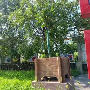 ˮ���ľ���� ͥԺ���⻨�� ˮ�����ʽ���� �ֽ��������ľ����